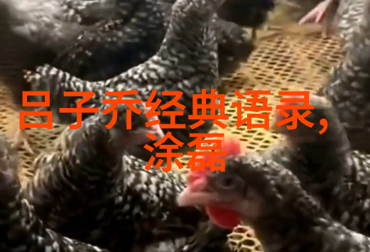 智慧的飞轮探索哲理励志故事中的成长与自我突破