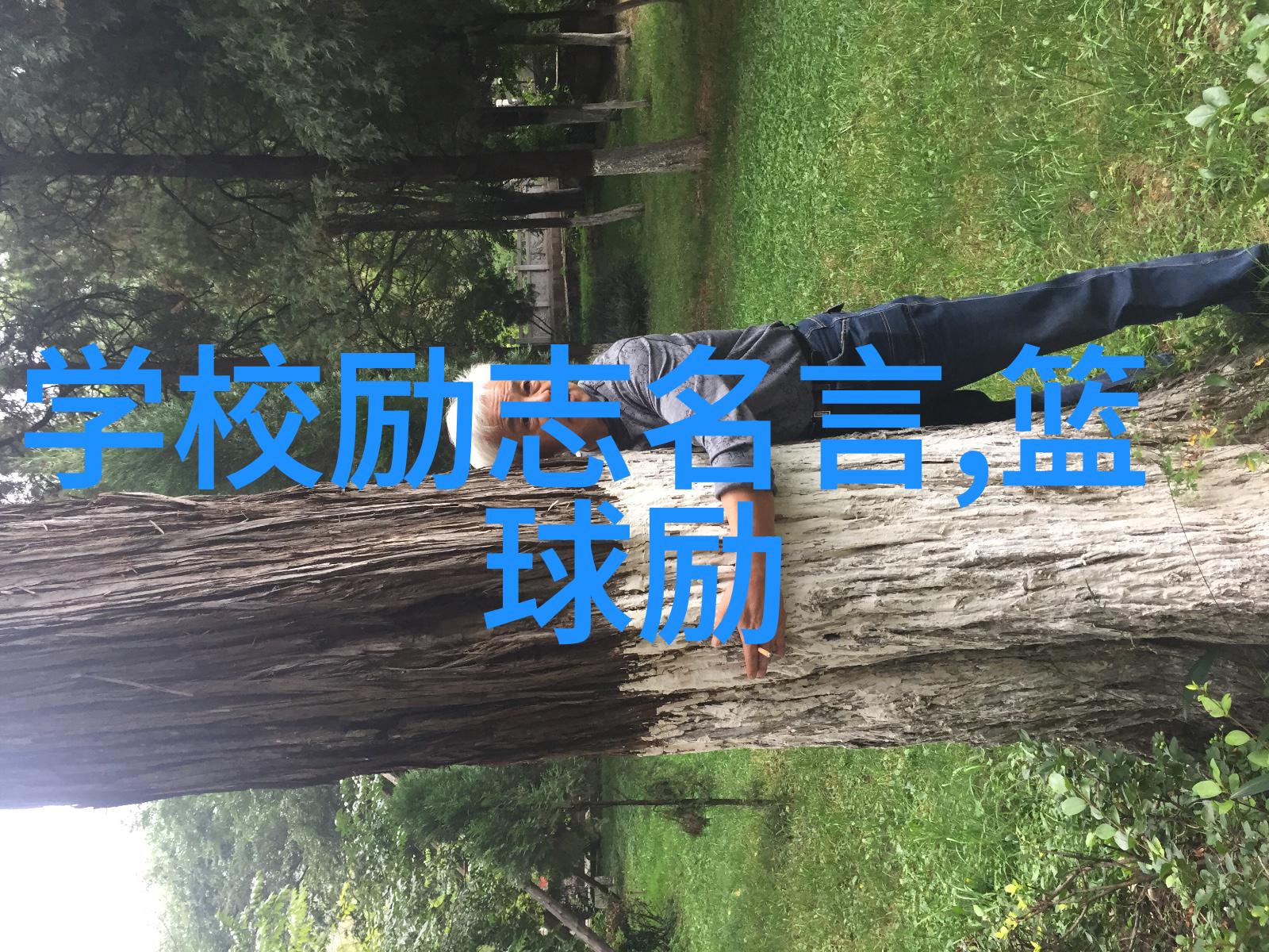 情感故事日志三国群侠传地图 - 探索英雄之旅重现古战场的激情