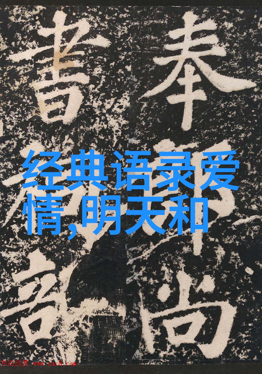 超越障碍追梦人生一位身心双残运动员的奋斗史