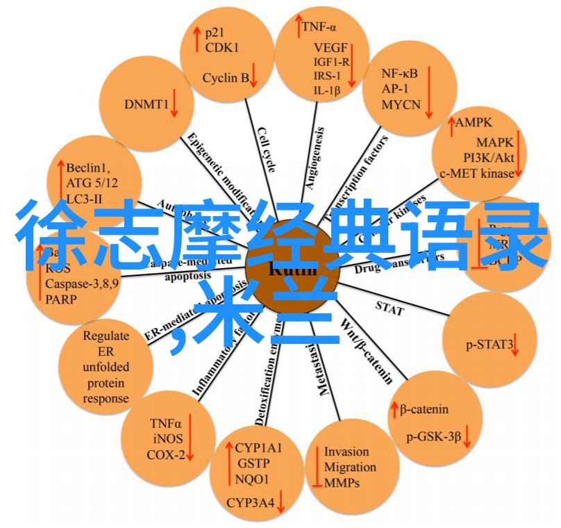 梦境中的追求者是什么浪漫的爱情征兆