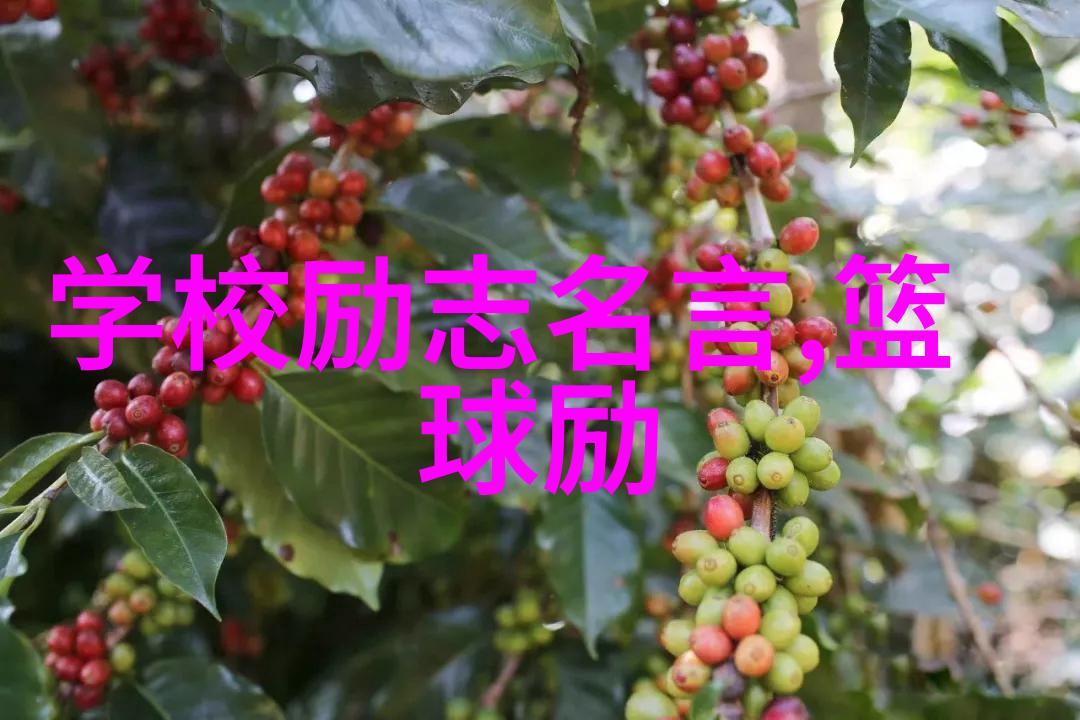 婆媳之间的爱犹如战国时期的争斗无处不在但却难寻其踪正如婆媳的战国时代全集中的40集每一集都是一场战斗