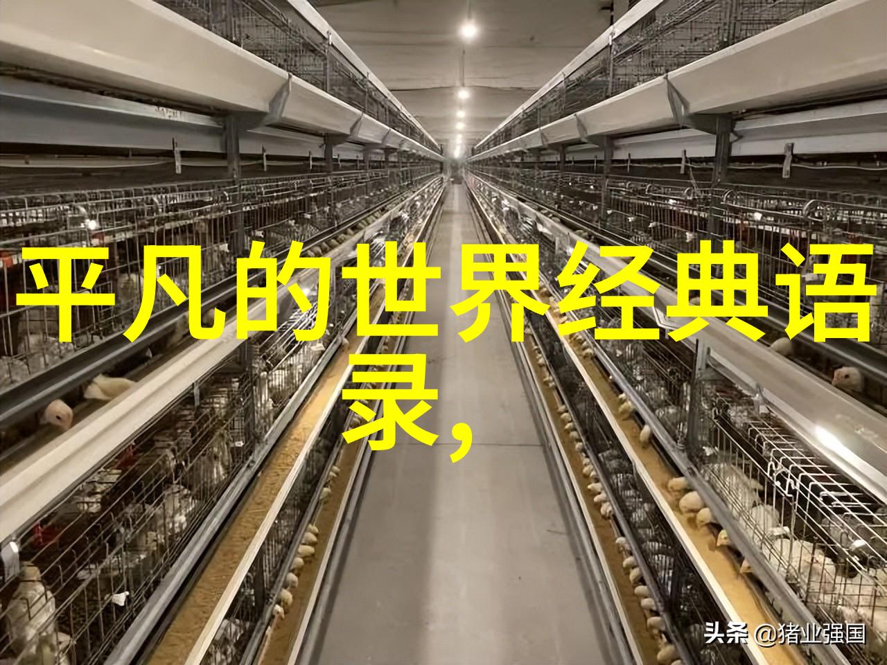 温暖人心的力量中国感动十大人物如何影响社会