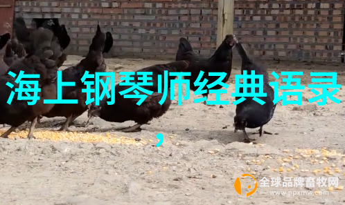 中国梦想者的逆袭之旅