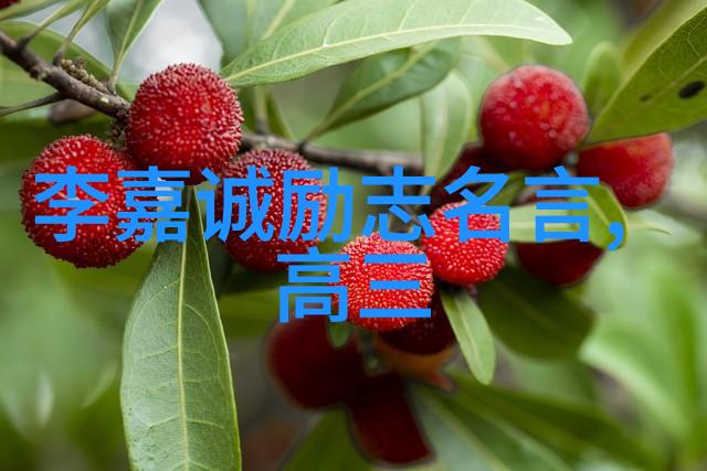 公交车车站最后一排被多人玩我看到的奇景末班公交尾巴位变社交场