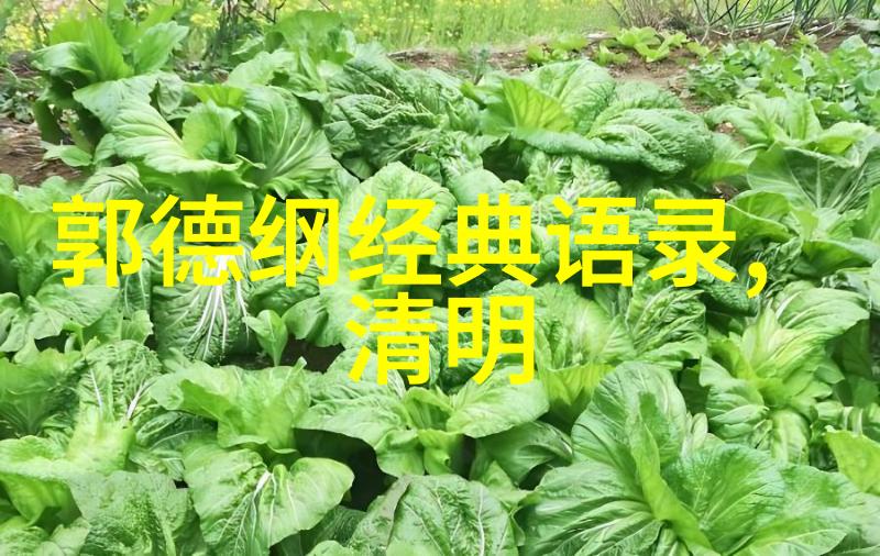 笑着看世界世界也会跟着笑人生励志名言的幽默篇