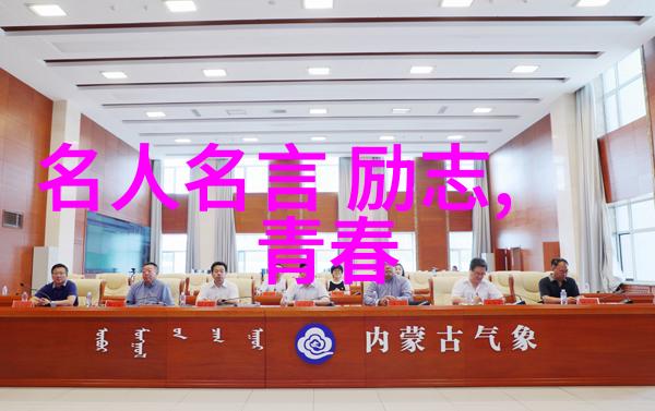 追求Alpha的策略与实践