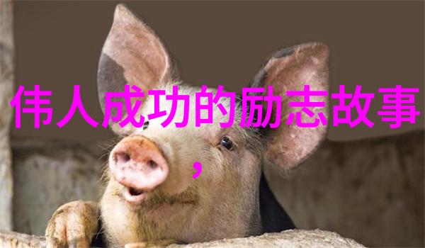 挑战自我超越极限揭秘那些不屈不挠者的心路历程