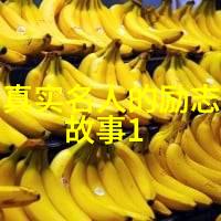 坚持不懈的梦想者王晓宇的科学探索