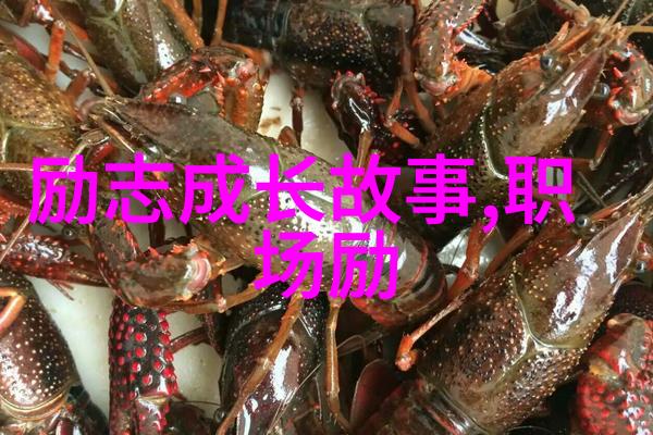 90后风尚领军中国影响力人物的新篇章