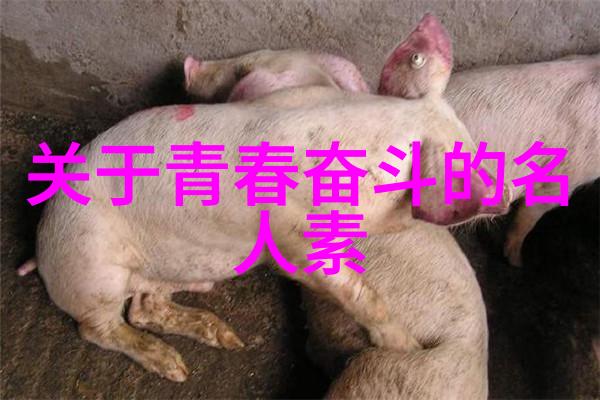 丁磊的第一桶金偶像激励粉丝的典范