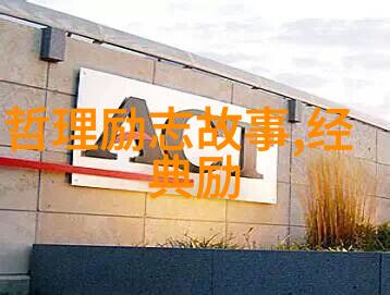 关于青春的名人故事 - 李雷从街头小贩到成功企业家的逆袭之旅