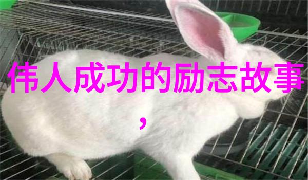 任正非从零到英雄的44岁传奇