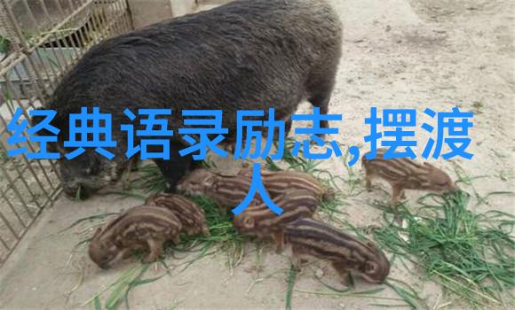 温柔的雨滴伤感的小确幸