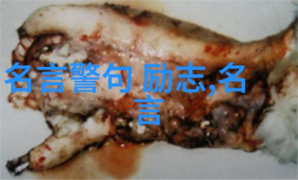 问世间能与任正非齐名的又有谁10个英雄人物素材摘抄