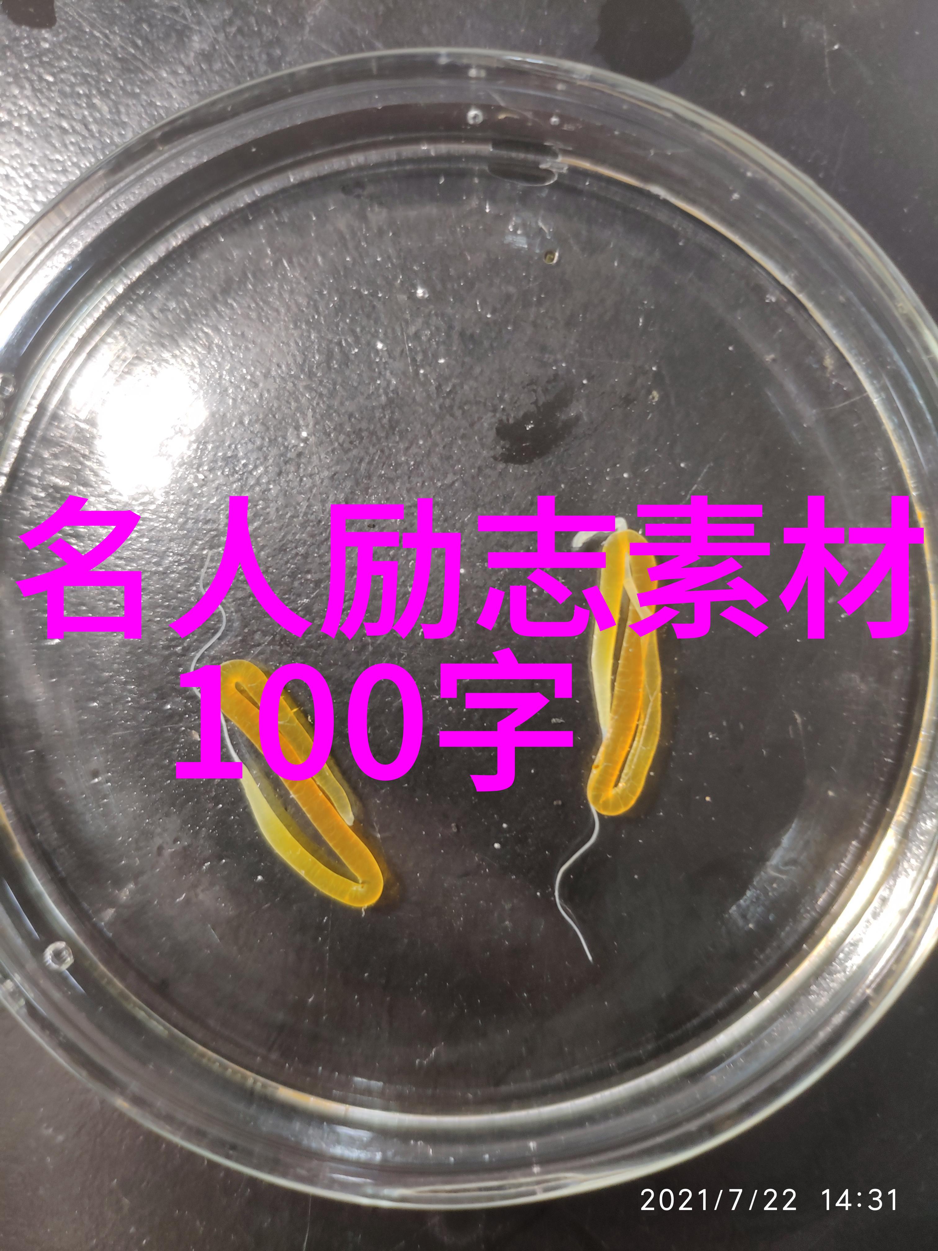 他从火光中走来经典语录的深远影响