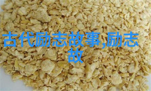 逆袭之翼跨越障碍的飞翔