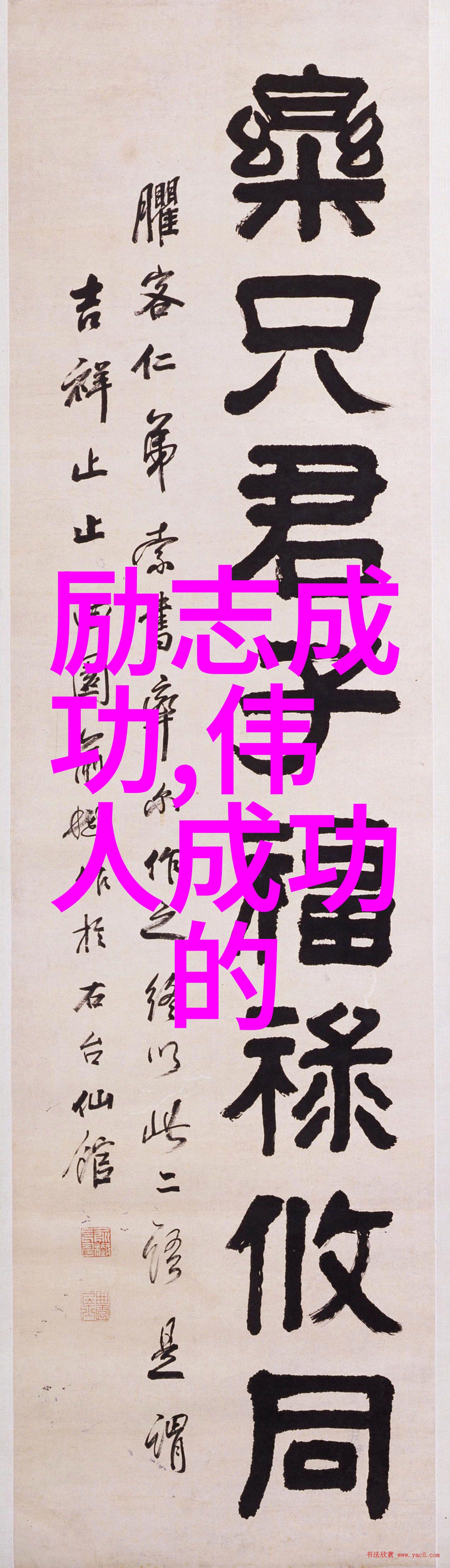 从零到英雄一位运动员的逆袭故事坚持不懈的训练与对胜利的渴望