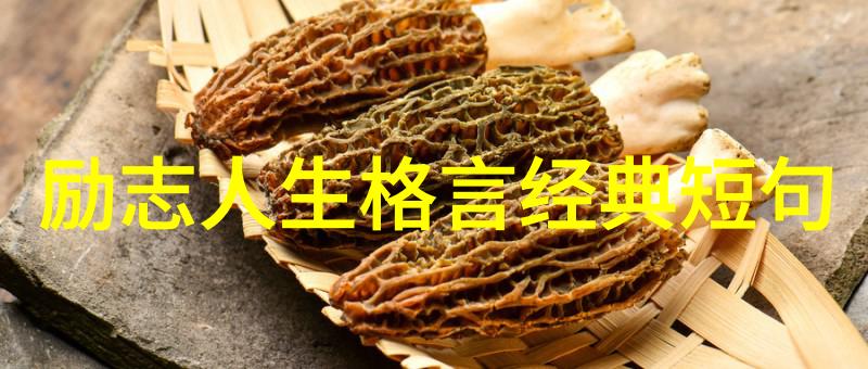 温暖的空间留言编织出贫瘠岁月中的老旧友情