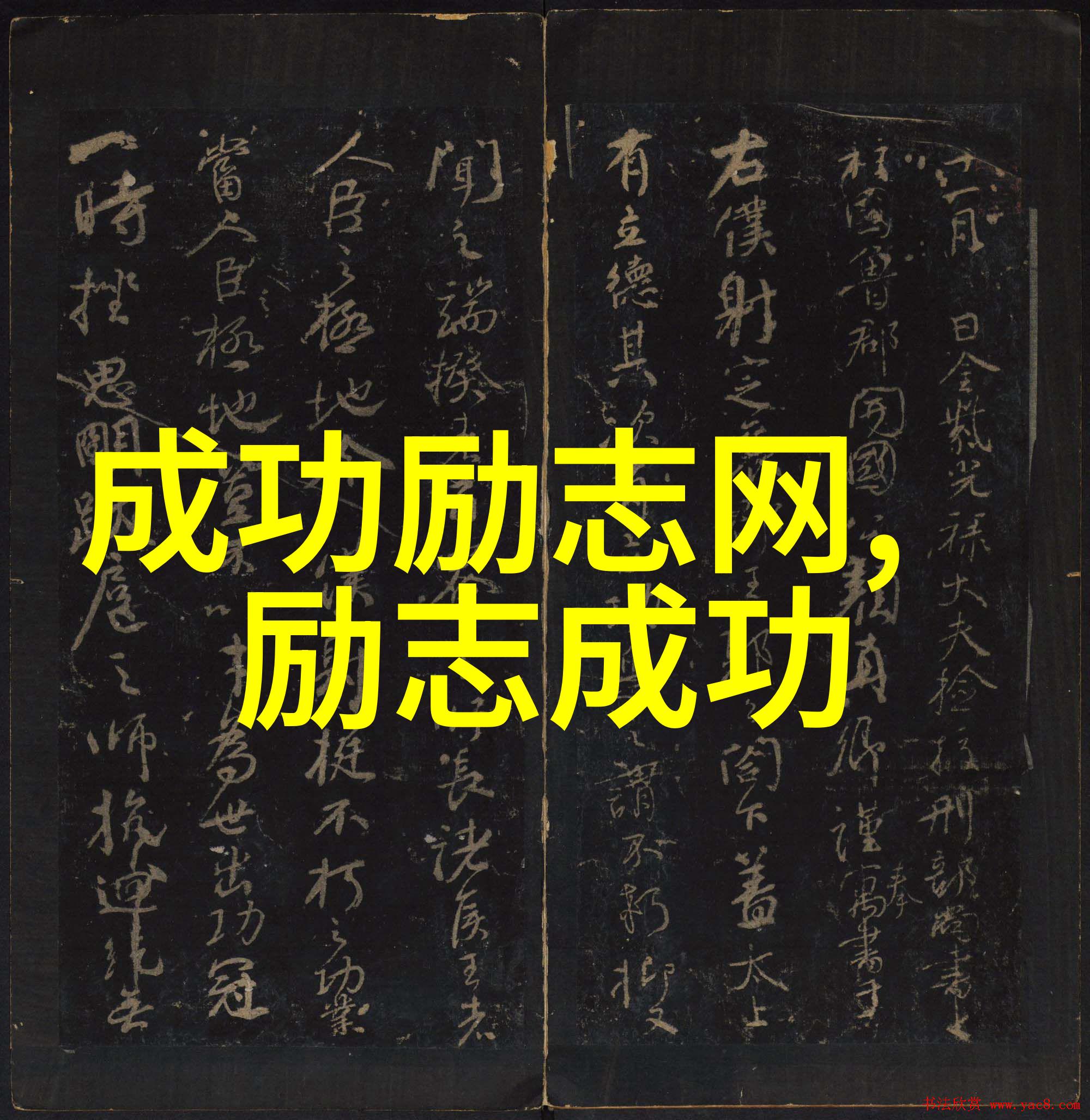 李雷中国职业篮球运动员的奋斗故事