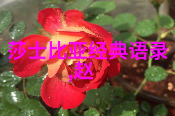 离职换来的体悟人生没有最佳时机成功励志故事中的物品启示