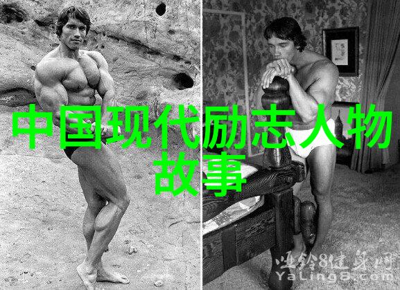 跨文化启示录英语的旋律与梦想的翅膀