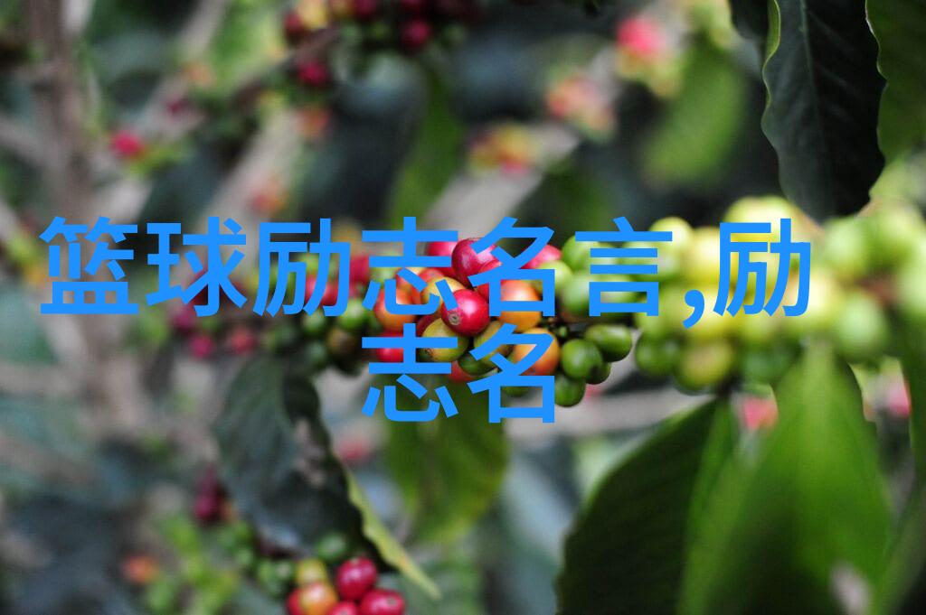 激励青春梦想的力量初中生的成功启航