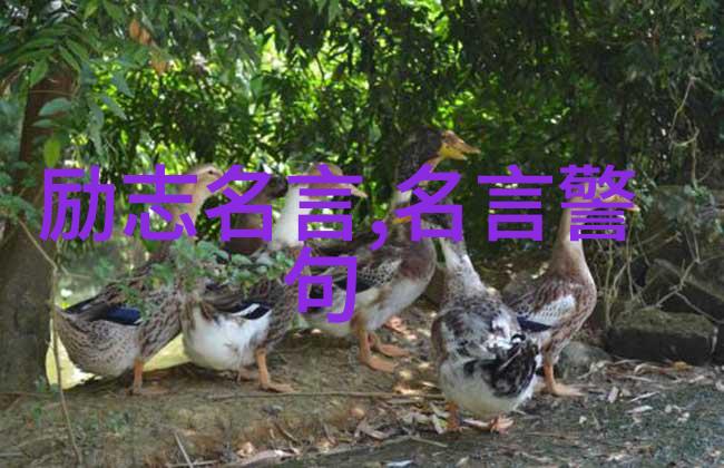 名人名言大全经典励志 - 激扬精神启迪梦想引领成功之路的经典金句