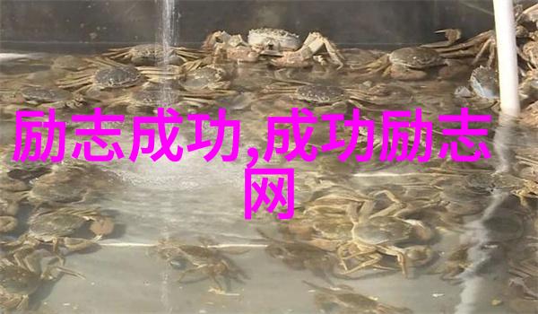 思想的力量王小波如何通过文学展现个人价值观