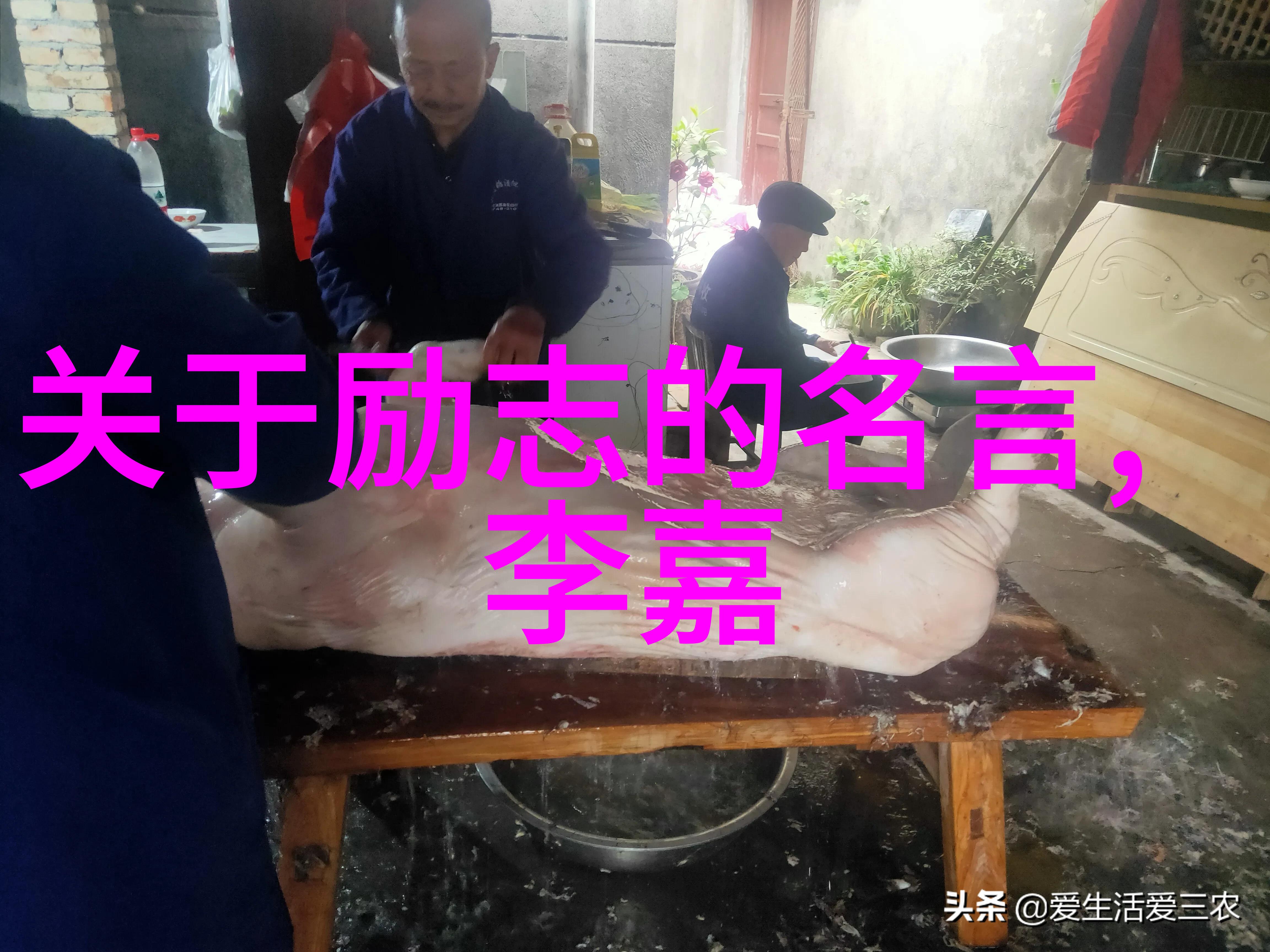 爱情探索深度解析从初恋到终老的爱情之旅