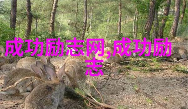 生活智慧-简约之道深度解读断舍离经典语录