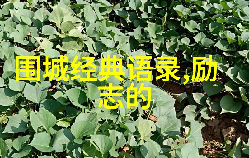潘石屹中国名人有志气的故事在自然中的探索