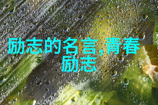 教育启示-铸就未来学校励志名言的力量