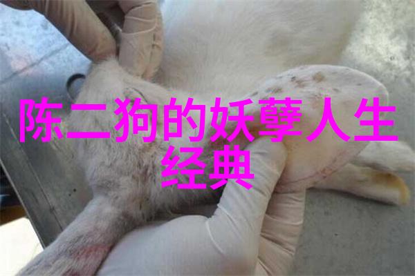 历史的裂隙那个被遗忘英雄的真实面目是怎样的