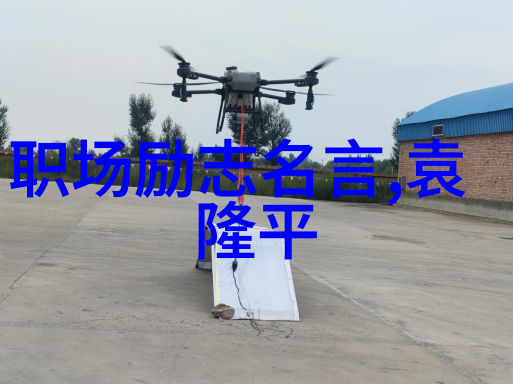 追梦者不懈奋斗的故事坚持与激情的无限力量