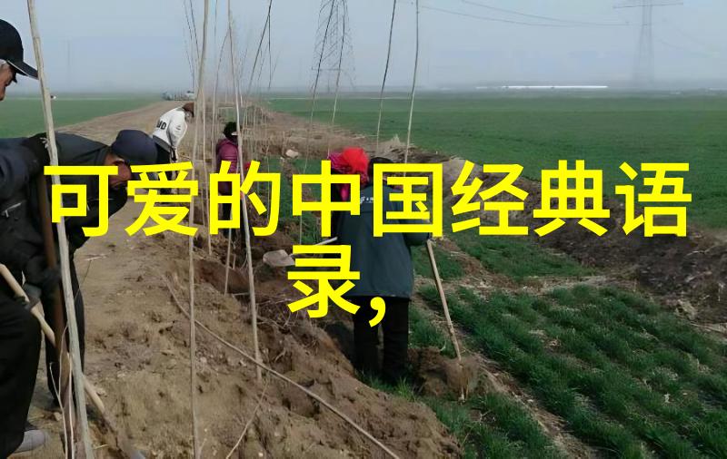 不辞春山总结探索离别与归属的诗意旅程