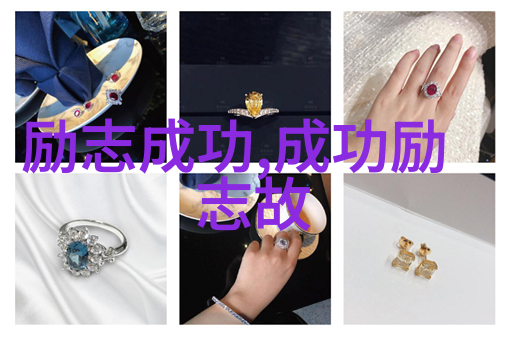中国励志女性人物代表在职业生涯中的成功秘诀是什么