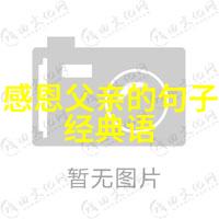 中外名人励志故事广播稿800 - 李小龙打破藩篱的功夫之路