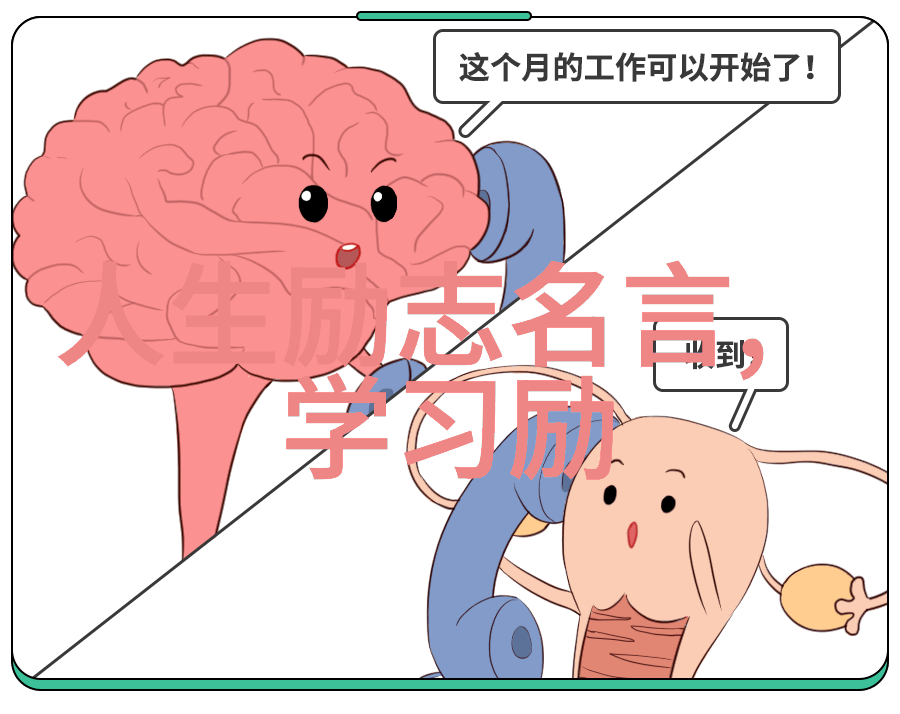 欢乐颂平凡世界中的经典语录与人物故事