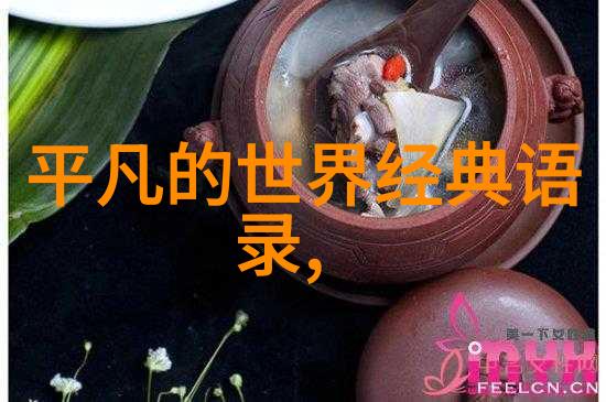 感动中国十大人物征程2019年感动中国十大人物的奋斗历程