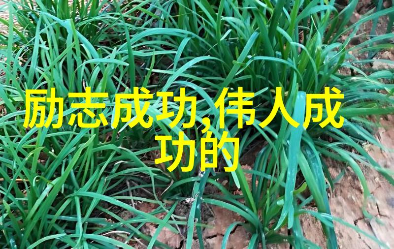 老公出轨第三者不舍得婚姻怎样挽回婚姻在与爱同居2的物品场景中情感纠葛如何重建