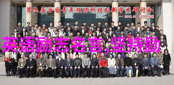 背叛的影子与温柔的光芒