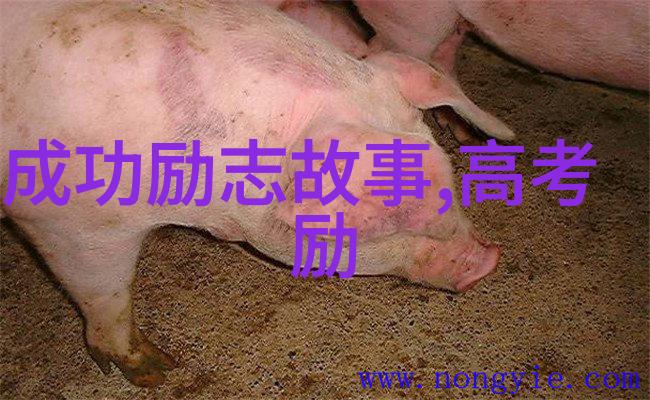 赵本山经典语录-笑声中传承赵本山的智慧与幽默