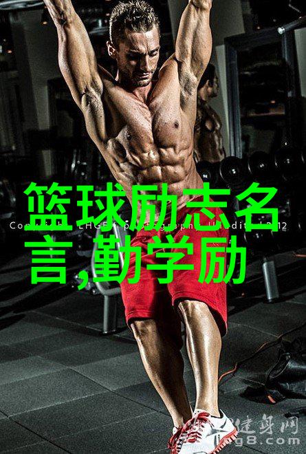 追逐梦想人生奋斗的学术视角与励志启示