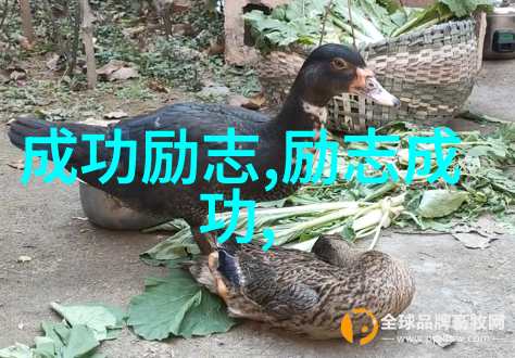 他是如何将自己的发现转化为实用的技术应用的