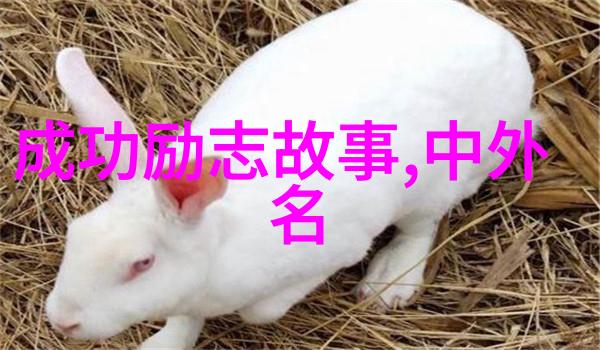 古韵笑语探索可爱的中国经典语录