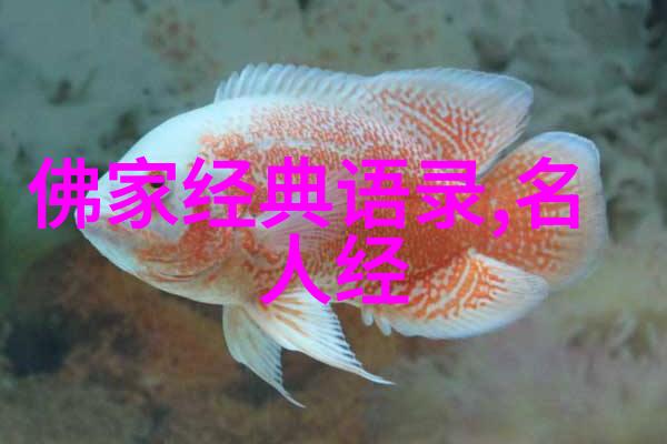 梦境之旅又甜又有车的宁静夜晚