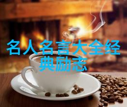 中国典型人物励志故事凡客诚品CEO陈年遭遇上帝赋予的双重局限