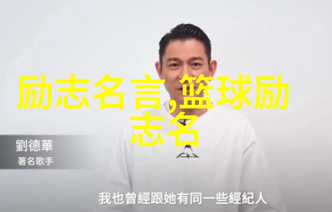 90后知名人物对话雷军与刘德华同为风口上的猪儿