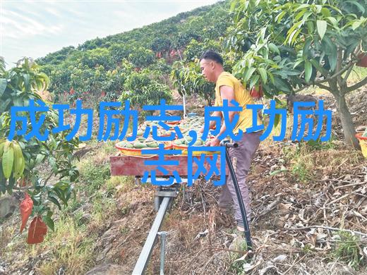 寂灭天骄TXT霸道星辰的孤独降临