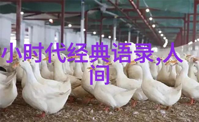 名人名言大全经典励志 - 马云从小县城到全球巨头的无畏追梦